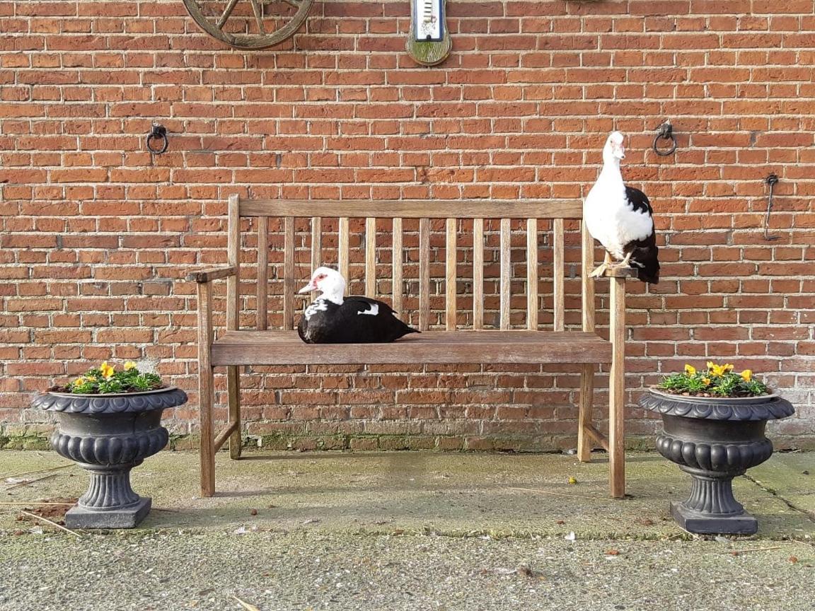 Vila Wol Thus Paesens Exteriér fotografie