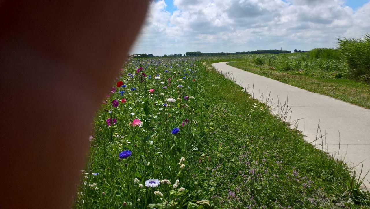 Vila Wol Thus Paesens Exteriér fotografie