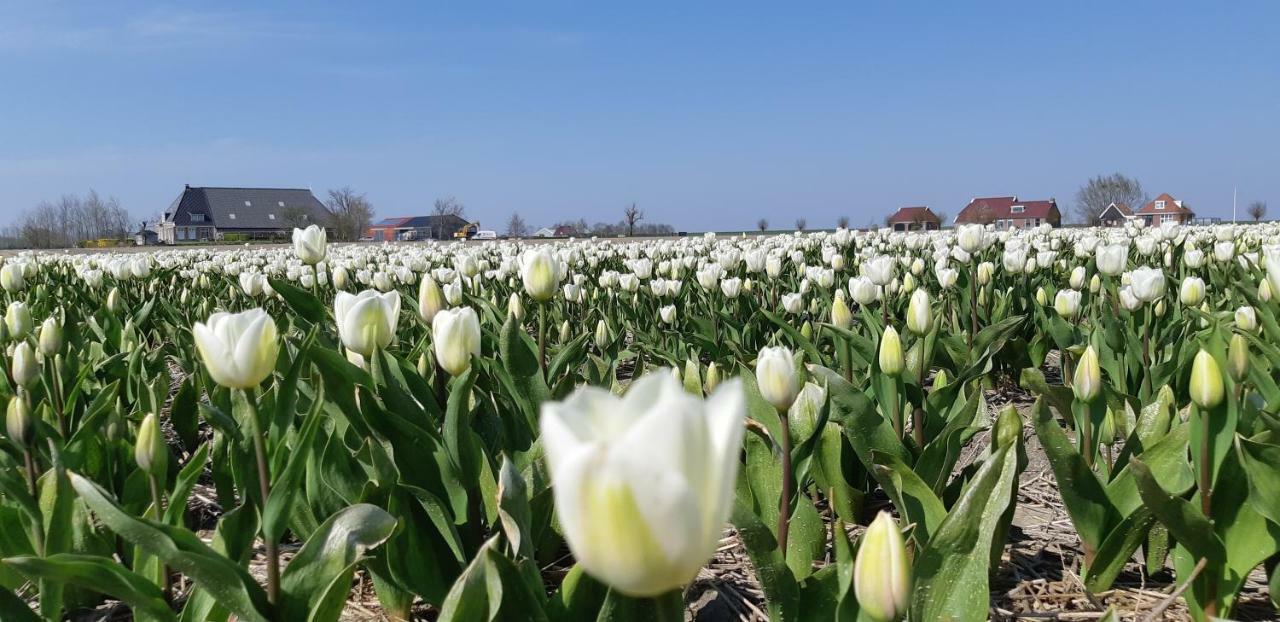 Vila Wol Thus Paesens Exteriér fotografie