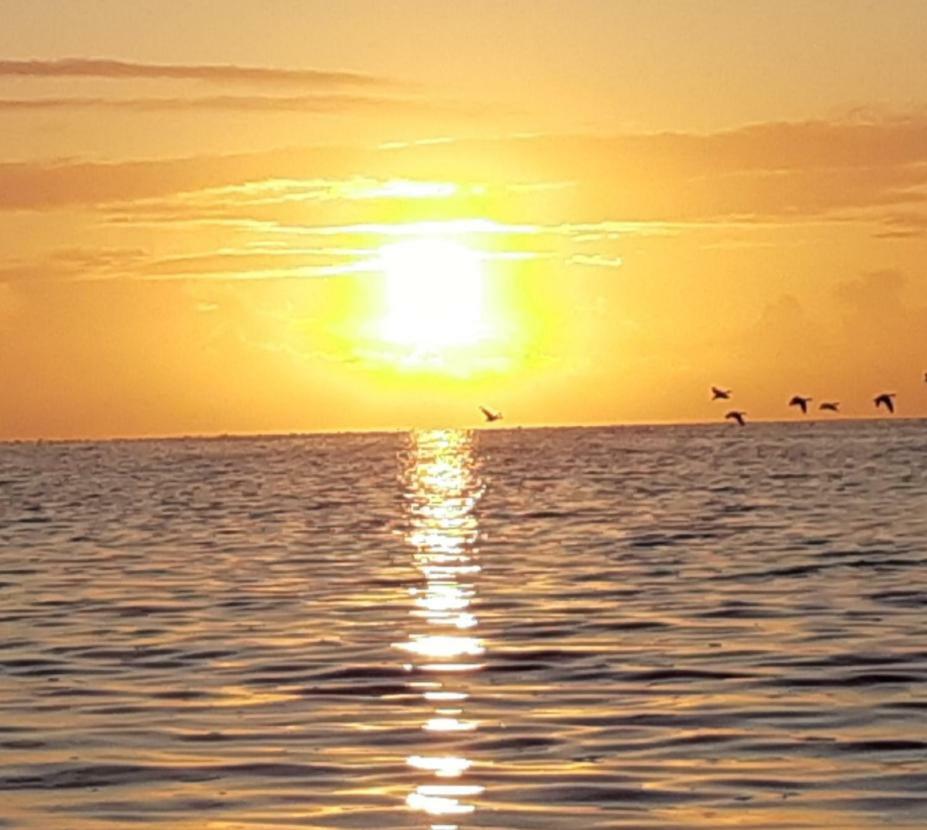 Vila Wol Thus Paesens Exteriér fotografie